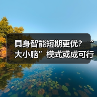 具身智能短期更优？“大小脑”模式或成可行方案（图1）