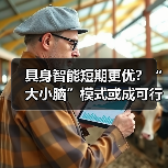 具身智能短期更优？“大小脑”模式或成可行方案（图3）