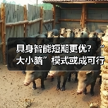 具身智能短期更优？“大小脑”模式或成可行方案（图4）