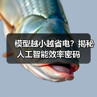 模型越小越省电？揭秘人工智能效率密码（图3）