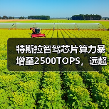 特斯拉智驾芯片算力暴增至2500TOPS，远超英伟达Thor-X（图4）