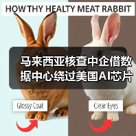 马来西亚核查中企借数据中心绕过美国AI芯片限制?(图1) 马来西亚核查中企借数据中心绕过美国AI芯片限制?(图1)