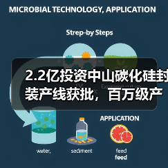2.2亿投资中山碳化硅封装产线获批，百万级产能布局新能源汽车（图4）