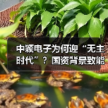 中颖电子为何迎“无主时代”?国资背景致能工电控股引关注(图2) 中颖电子为何迎“无主时代”?国资背景致能工电控股引关注(图2)