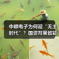 中颖电子为何迎“无主时代”?国资背景致能工电控股引关注(图3) 中颖电子为何迎“无主时代”?国资背景致能工电控股引关注(图3)