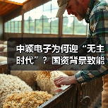 中颖电子为何迎“无主时代”?国资背景致能工电控股引关注(图4) 中颖电子为何迎“无主时代”?国资背景致能工电控股引关注(图4)