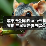 苹果折叠屏iPhone或将亮相 三星显示供应屏幕 2026年量产(图1) 苹果折叠屏iPhone或将亮相 三星显示供应屏幕 2026年量产(图1)