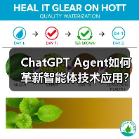 ChatGPT Agent如何革新智能体技术应用?(图3) ChatGPT Agent如何革新智能体技术应用?(图3)