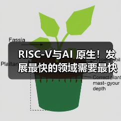 RISC-V与AI 原生！发展最快的领域需要最快速演进的架构（图2）