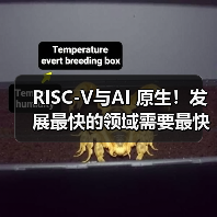 RISC-V与AI 原生！发展最快的领域需要最快速演进的架构（图1）