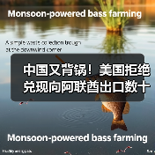中国又背锅！美国拒绝兑现向阿联酋出口数十亿美元AI芯片承诺（图1）