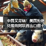 中国又背锅！美国拒绝兑现向阿联酋出口数十亿美元AI芯片承诺（图2）