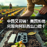 中国又背锅！美国拒绝兑现向阿联酋出口数十亿美元AI芯片承诺（图3）