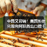 中国又背锅！美国拒绝兑现向阿联酋出口数十亿美元AI芯片承诺（图4）