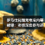 罗马仕问题充电宝内幕被曝：老板深度参与运营（图4）