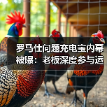 罗马仕问题充电宝内幕被曝：老板深度参与运营（图3）