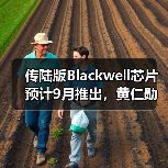 传陆版Blackwell芯片预计9月推出，黄仁勋再次访华（图2）