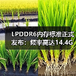 LPDDR6内存标准正式发布:频率高达14.4GHz(图4) LPDDR6内存标准正式发布:频率高达14.4GHz(图4)