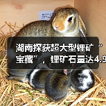 湖南探获超大型锂矿“宝藏”,锂矿石量达4.9亿吨(图2) 湖南探获超大型锂矿“宝藏”,锂矿石量达4.9亿吨(图2)