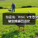 包云岗:RISC-V生态突破需跨越四道坎(图4) 包云岗:RISC-V生态突破需跨越四道坎(图4)