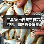 三星3nm自研手机芯片回归,国产折叠屏竞争来了(图1) 三星3nm自研手机芯片回归,国产折叠屏竞争来了(图1)