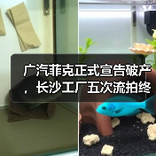 广汽菲克正式宣告破产,长沙工厂五次流拍终成历史(图3) 广汽菲克正式宣告破产,长沙工厂五次流拍终成历史(图3)