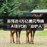 英伟达4万亿美元市值:AI时代的“卖铲人”奇迹(图4) 英伟达4万亿美元市值:AI时代的“卖铲人”奇迹(图4)