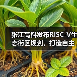 张江高科发布RISC-V生态街区规划，打造自主可控芯片创新高地（图4）