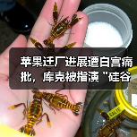 苹果迁厂进展遭白宫痛批,库克被指演 苹果迁厂进展遭白宫痛批,库克被指演