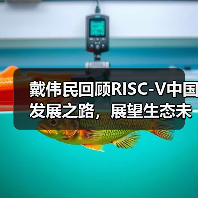 戴伟民回顾RISC-V中国发展之路，展望生态未来（图4）