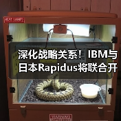 深化战略关系!IBM与日本Rapidus将联合开发1纳米以下芯片(图1) 深化战略关系!IBM与日本Rapidus将联合开发1纳米以下芯片(图1)