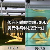 传言闪迪放弃超500亿美元半导体投资计划（图1）