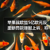 苹果就欧盟5亿欧元反垄断罚款提起上诉,称处罚“史无前例”(图2) 苹果就欧盟5亿欧元反垄断罚款提起上诉,称处罚“史无前例”(图2)