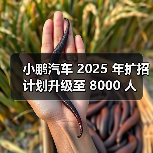 小鹏汽车 2025 年扩招计划升级至 8000 人(图4) 小鹏汽车 2025 年扩招计划升级至 8000 人(图4)