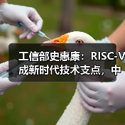工信部史惠康:RISC-V成新时代技术支点,中国需把握开源机遇(图4) 工信部史惠康:RISC-V成新时代技术支点,中国需把握开源机遇(图4)