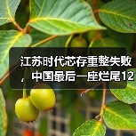江苏时代芯存重整失败,中国最后一座烂尾12英寸厂“死亡”(图1) 江苏时代芯存重整失败,中国最后一座烂尾12英寸厂“死亡”(图1)