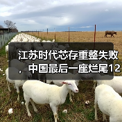 江苏时代芯存重整失败,中国最后一座烂尾12英寸厂“死亡”(图3) 江苏时代芯存重整失败,中国最后一座烂尾12英寸厂“死亡”(图3)