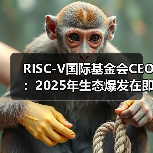 RISC-V国际基金会CEO:2025年生态爆发在即(图4) RISC-V国际基金会CEO:2025年生态爆发在即(图4)