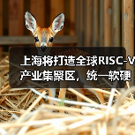 上海将打造全球RISC-V产业集聚区,统一软硬件开放平台年内上线(图3) 上海将打造全球RISC-V产业集聚区,统一软硬件开放平台年内上线(图3)
