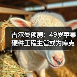 古尔曼预测：49岁苹果硬件工程主管或为库克接班人（图4）