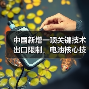 中国新增一项关键技术出口限制,电池核心技术进一步收紧(图2) 中国新增一项关键技术出口限制,电池核心技术进一步收紧(图2)