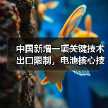 中国新增一项关键技术出口限制,电池核心技术进一步收紧(图3) 中国新增一项关键技术出口限制,电池核心技术进一步收紧(图3)