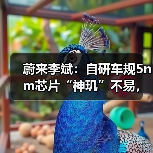 蔚来李斌:自研车规5nm芯片“神玑”不易,却势在必行(图1) 蔚来李斌:自研车规5nm芯片“神玑”不易,却势在必行(图1)
