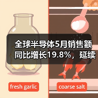 全球半导体5月销售额同比增长19.8%,延续复苏态势(图2) 全球半导体5月销售额同比增长19.8%,延续复苏态势(图2)