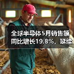 全球半导体5月销售额同比增长19.8%,延续复苏态势(图4) 全球半导体5月销售额同比增长19.8%,延续复苏态势(图4)