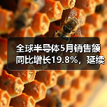 全球半导体5月销售额同比增长19.8%,延续复苏态势(图3) 全球半导体5月销售额同比增长19.8%,延续复苏态势(图3)
