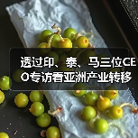 透过印、泰、马三位CEO专访看亚洲产业转移(图1) 透过印、泰、马三位CEO专访看亚洲产业转移(图1)