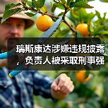 瑞斯康达涉嫌违规披露，负责人被采取刑事强制措施（图3）