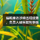 瑞斯康达涉嫌违规披露，负责人被采取刑事强制措施（图4）