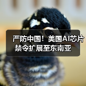 严防中国!美国AI芯片禁令扩展至东南亚(图1) 严防中国!美国AI芯片禁令扩展至东南亚(图1)